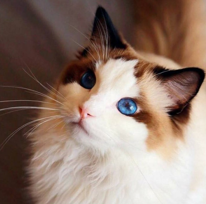 20210409/027fff67f83ce1c34f02204a2ca1d5e2.png 20210409/027fff67f83ce1c34f02204a2ca1d5e2.png