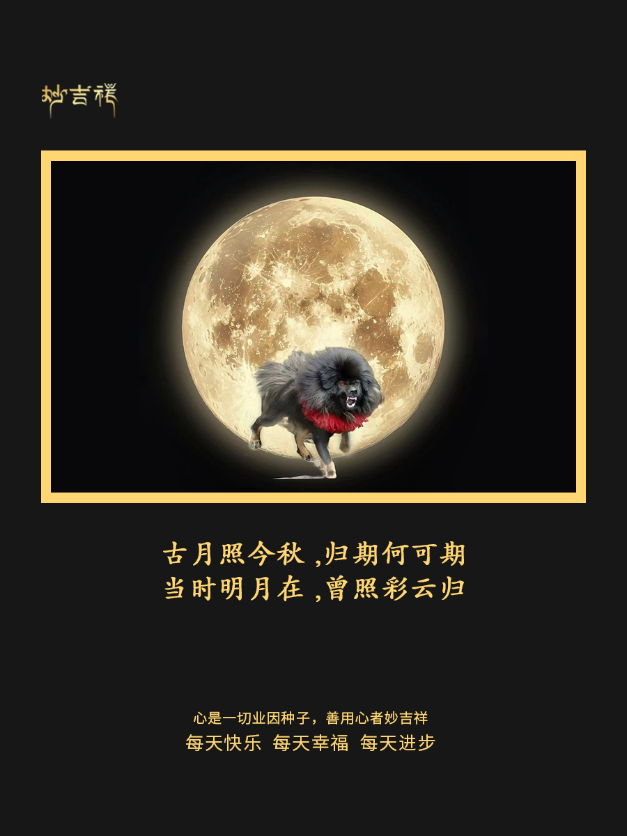 魔法月亮有多神奇？01